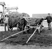 Collective farm near Kharkov (Cicely Osmond Collection, SCRSS Photo Library)